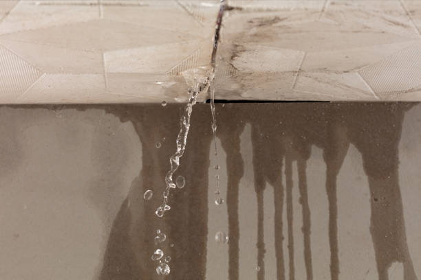 Professional Burst Pipe Cleanup technician working in Thonotosassa, FL